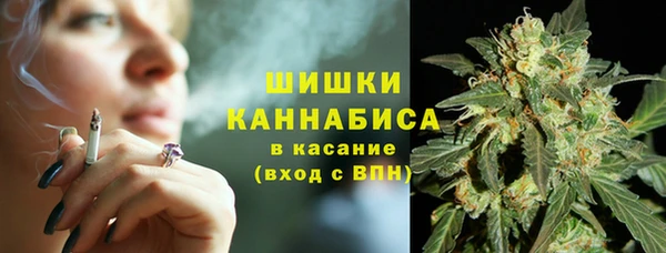 молекула духа Вязники