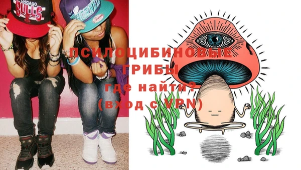 a pvp Володарск