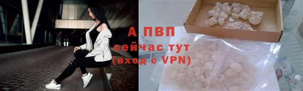 индика Волоколамск