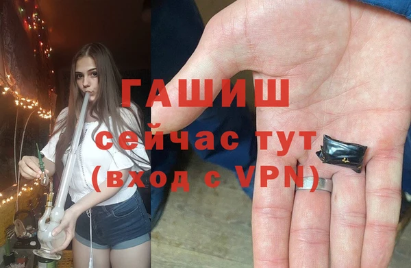 индика Волоколамск