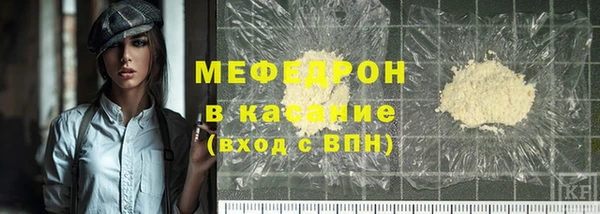 индика Волоколамск