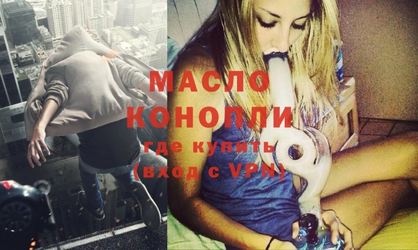 индика Волоколамск