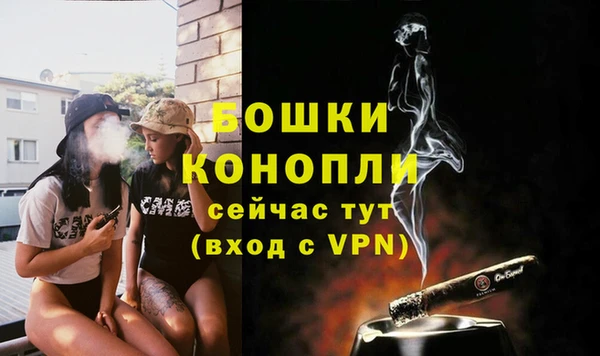 индика Волоколамск