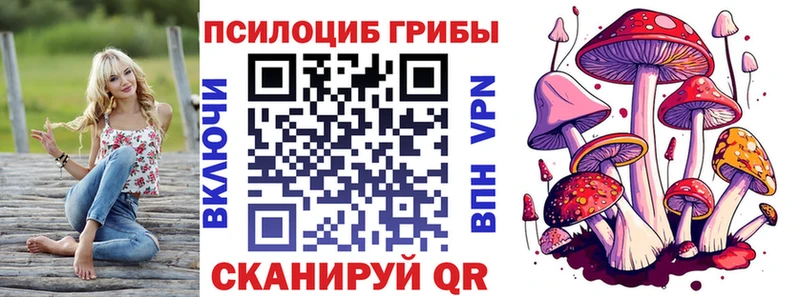 хочу Камешково Галлюциногенные грибы Psilocybe